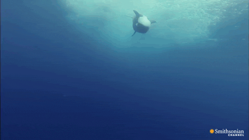 Palm Springs commercial photography