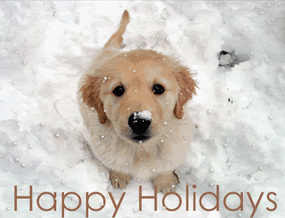  photo Dog-snow_zpsxlo8u5xf.gif