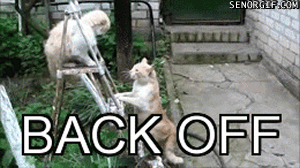back off