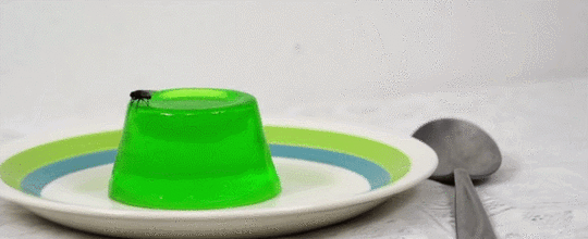 video infomercial fly isis releases