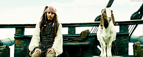 sparrow8