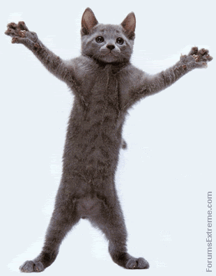 GREAT BOOK photo Funny_Pictures_Animated_Dancing_Cat_zpspnlvfdb5.gif