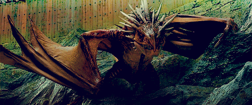 dragon-gif-harry-potter-favim-com-372761