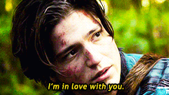 Finn Collins the 100 love