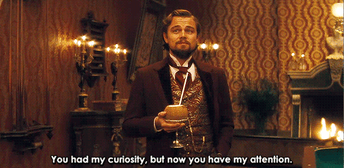  photo Django-leonardo-dicaprio-now-you-have-my-attention_zpsdkoqzefc.gif