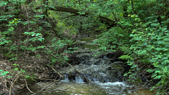 mountain brook