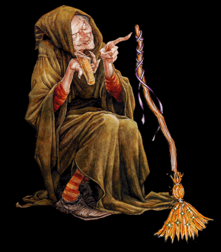 old hag photo: old hag broomANDoldhag.gif