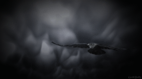 Image and video hosting by TinyPic