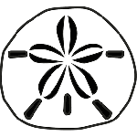 RadioActive-SandDollar-Animation-v2