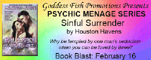 MBB_TourBanner_PyschicMenageSeries
