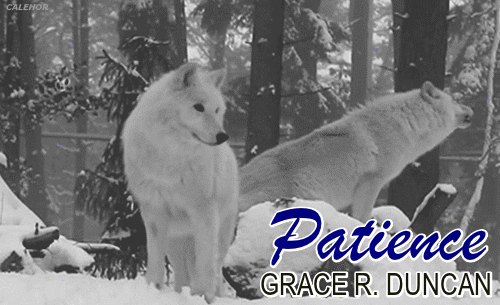  photo cUoIjB78MU7i_zpsevybd9nj.gif