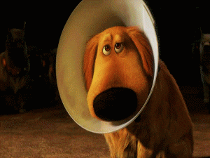 photo DC0C9A40-2F7D-4B07-A794-660567FB9CB2_zpszc8thssj.gif
