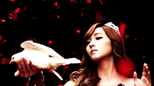 photo tumblr_ltah8hjr4s1qaj0qbo2_500_zpsaygtunr5.gif