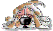 animated-dog-image-0064