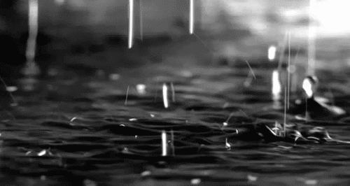  photo reprise 2.gif