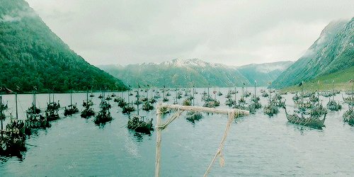 fleet of skipniu
