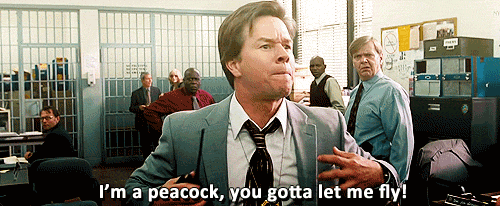 tumblr_mrq8pivysf1rm8en1o1_500