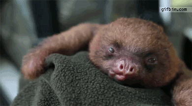 snooze