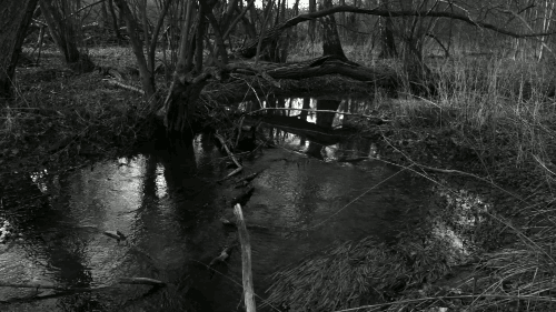  photo tumblr_n7j88bMIDm1rqlyzwo1_500_zps4ebfx8m6.gif