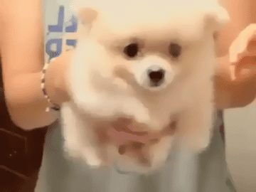  photo 2NeC00h_zpsunxydwox.gif