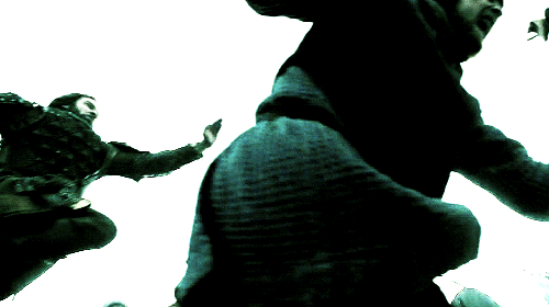 rollo ragnar aerial fight