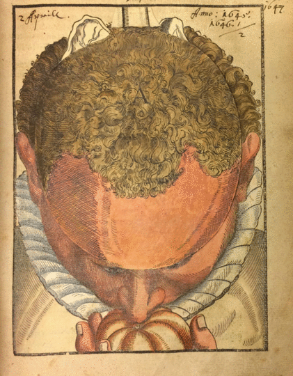 Lifting the flaps in George Bartisch’s Ophthalmodouleia. This 1583 book on ophthalmology includes flaps that allow readers to “dissect” the layers of the head and brain. 