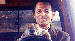 groundhog_day