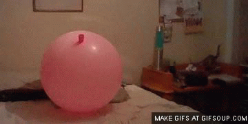 18895997.gif