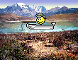Patagonia