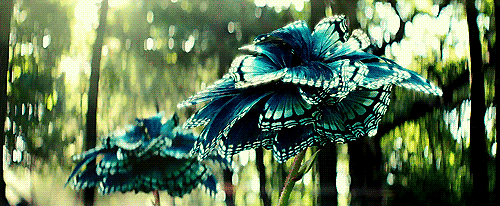  photo Hello 5.gif