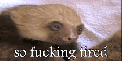 ./