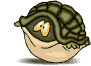 animal-graphics-tortoise-722759
