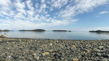  photo giphy2_zpsjotmyqtd.gif