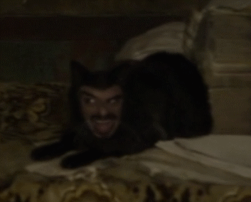 vlad cat face