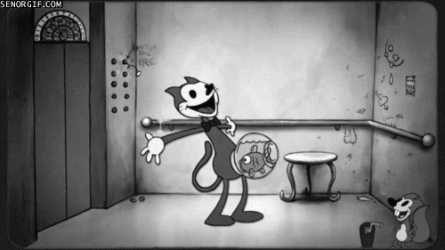 Palm Springs commercial photography