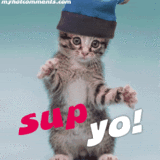 sup photo: sup b1b3f1cc44c05762a7f8f641ec5608f8.gif