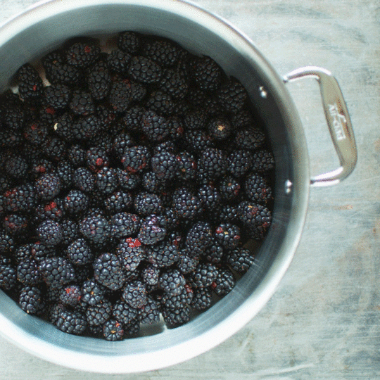 Ball-Blackberries-Animated-GIF