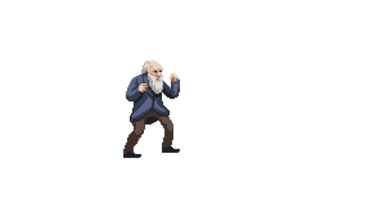 gaming game fighting sprite darwin