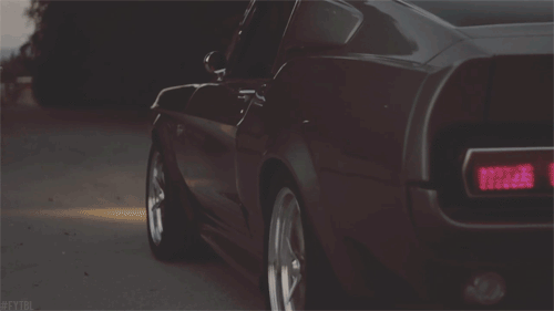 mustang gif