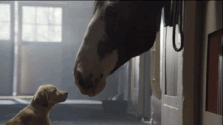  photo image_zpsuudiv74k.gif