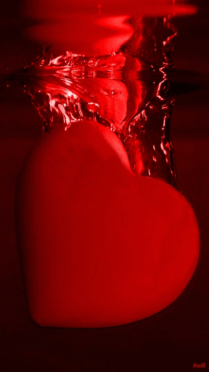 tumblr_nsq618zxsJ1tyvyg6o1_500