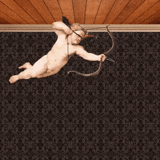 cupidspray