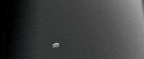photo Thin Lies II of Donati Bloodlines 14.gif