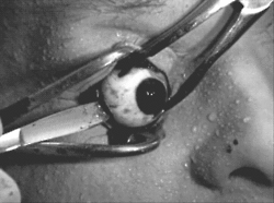 #kurdaitchaisnear and watching you