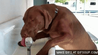 Palm Springs commercial photography