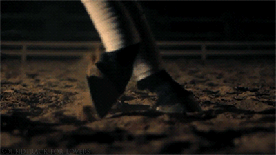 dark horse gif three