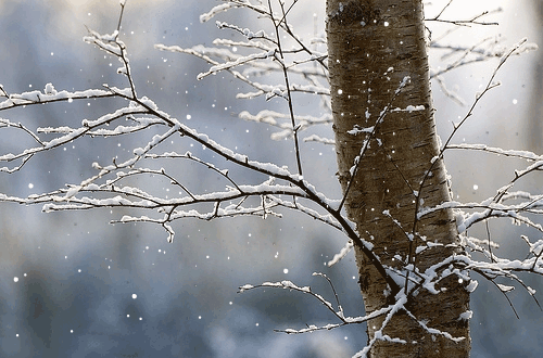 photo OdOfTkw2uVADC_zpszmvibmo3.gif