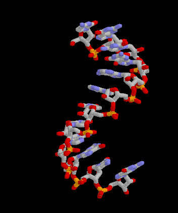 Messenger RNA