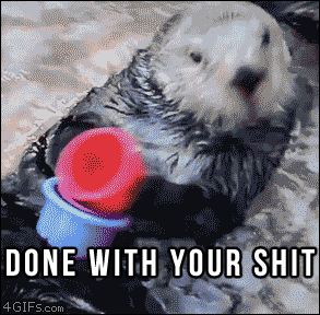 put up with shit photo: ottermadcupstackdonewithyourshit_zpsd1afe7d6.gif