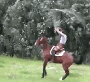 jump on horse photo: Horse Racer Jump Ropping a2NZvWw_460sa_zps2a615cdb.gif